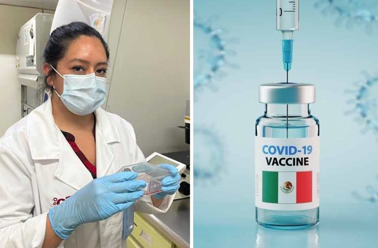 IPN desarrolla vacuna contra covid 19