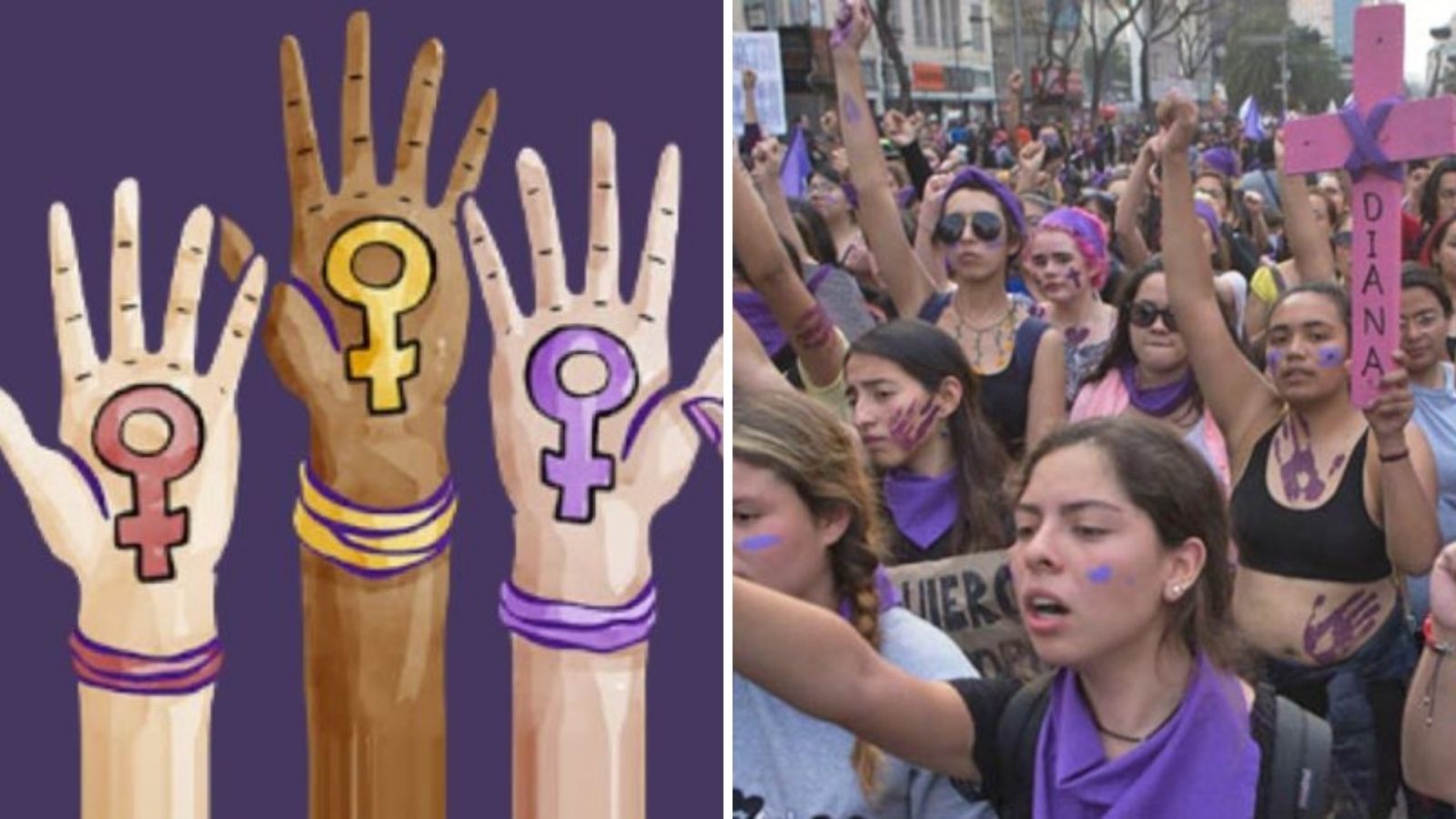 9 de marzo un día sin mujeres feministas