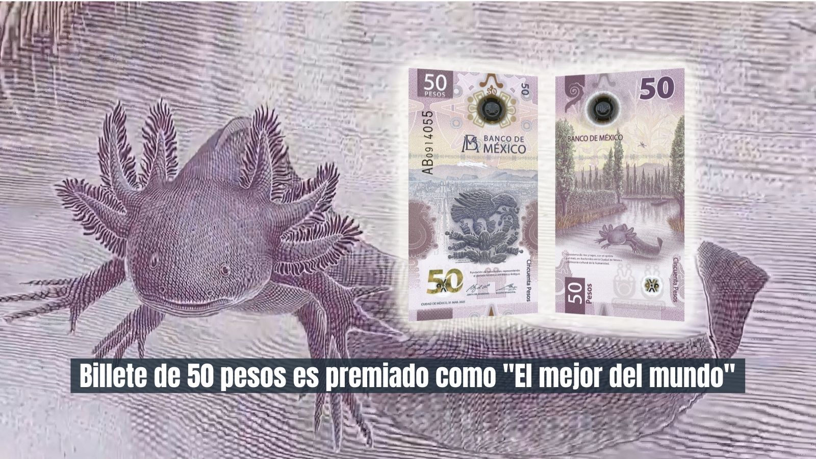 Banxico Billete de 50 pesos