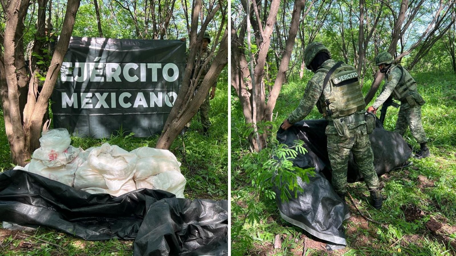 Decomisan 200 kilos de metanfetamina en Sinaloa