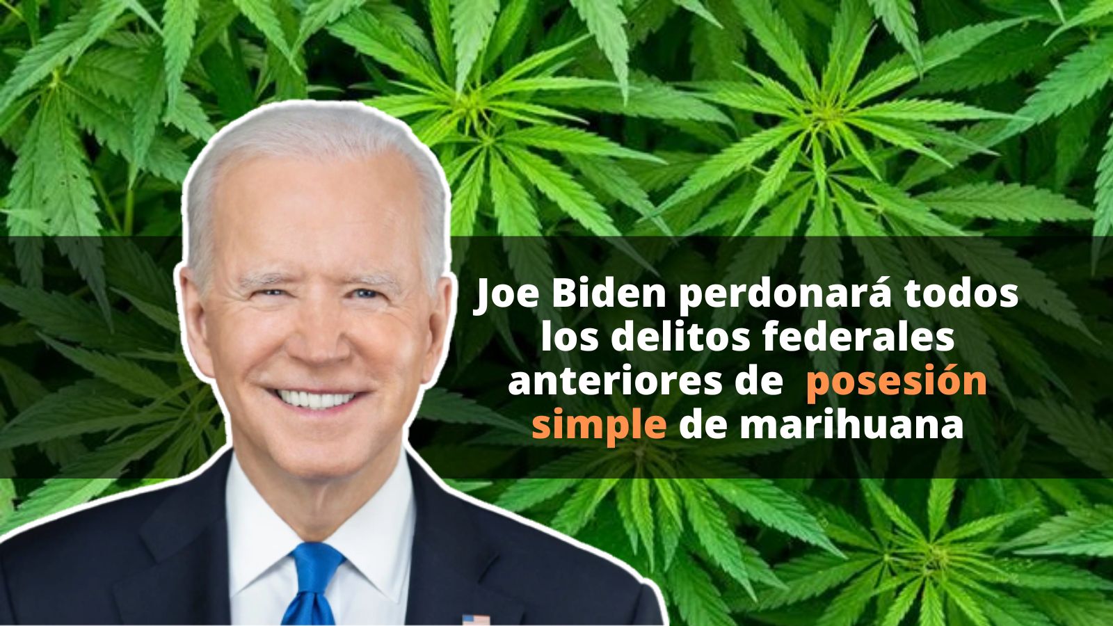 Joe Biden perdonará a presos por posesión de Marihuana