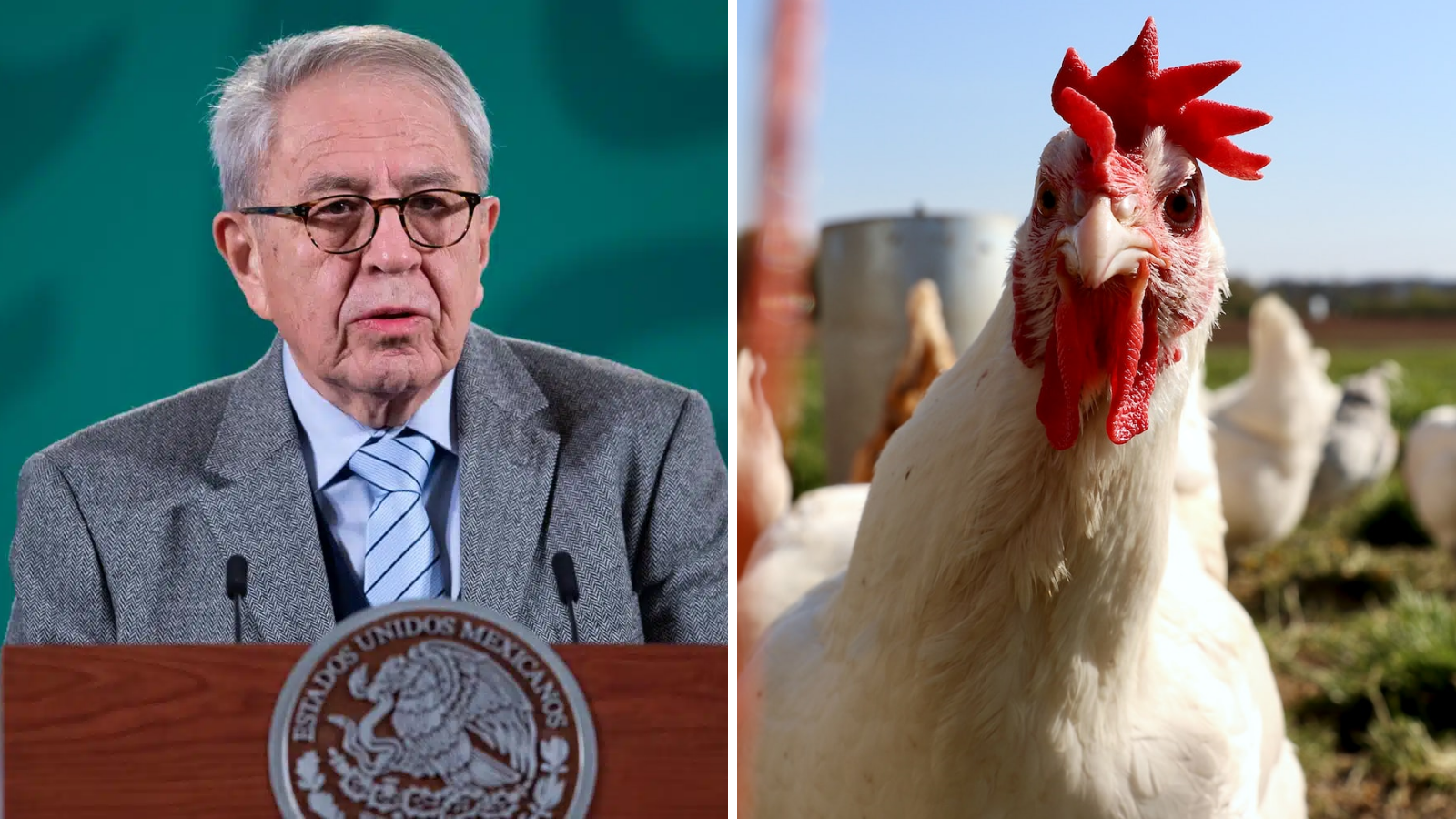 Jorge Alcocer desmiente primera muerte por gripe aviar en México