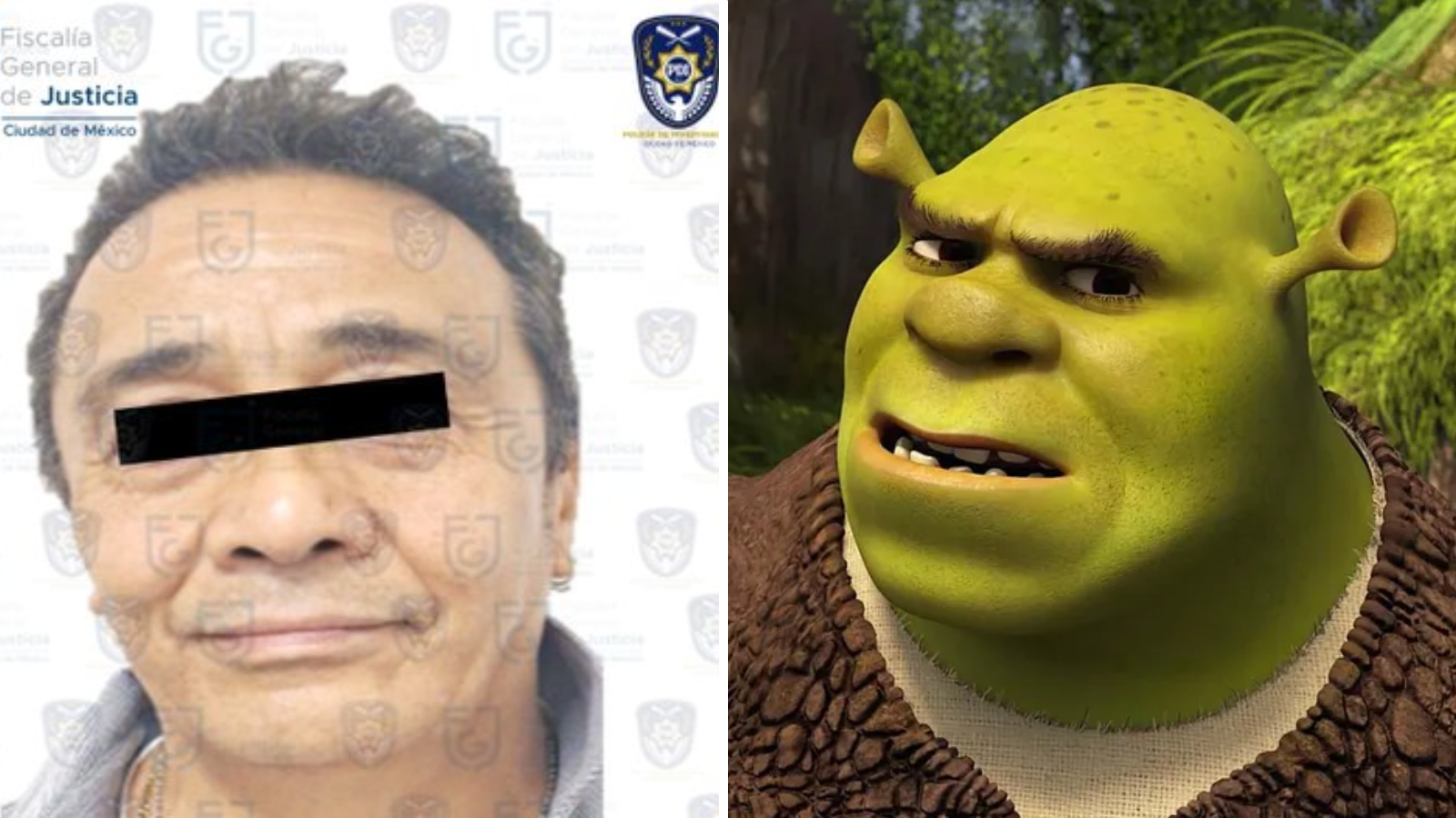 Arrestan a Alfonso Obregón, voz de Shrek, por abuso sexual