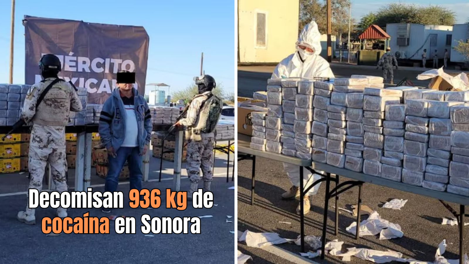 Ejército Mexicano decomisa 936 kilos de cocaína en Sonora