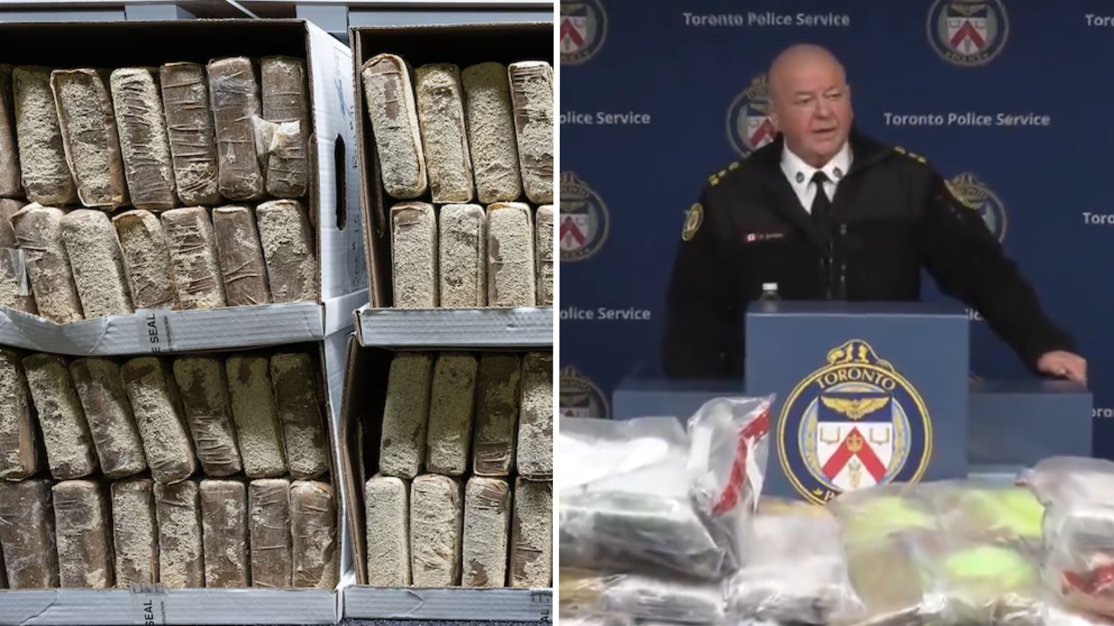 cocaína canadá toronto cjng