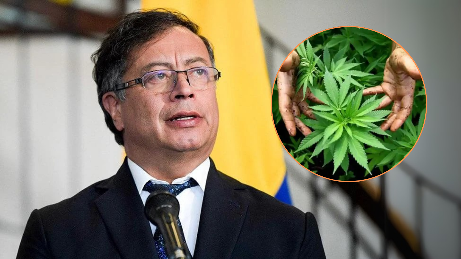 GUSTAVO PETRO MARIGUANA