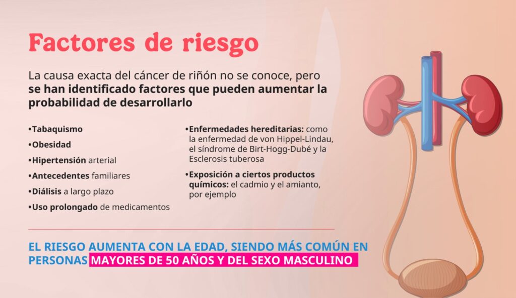 cáncer renal
