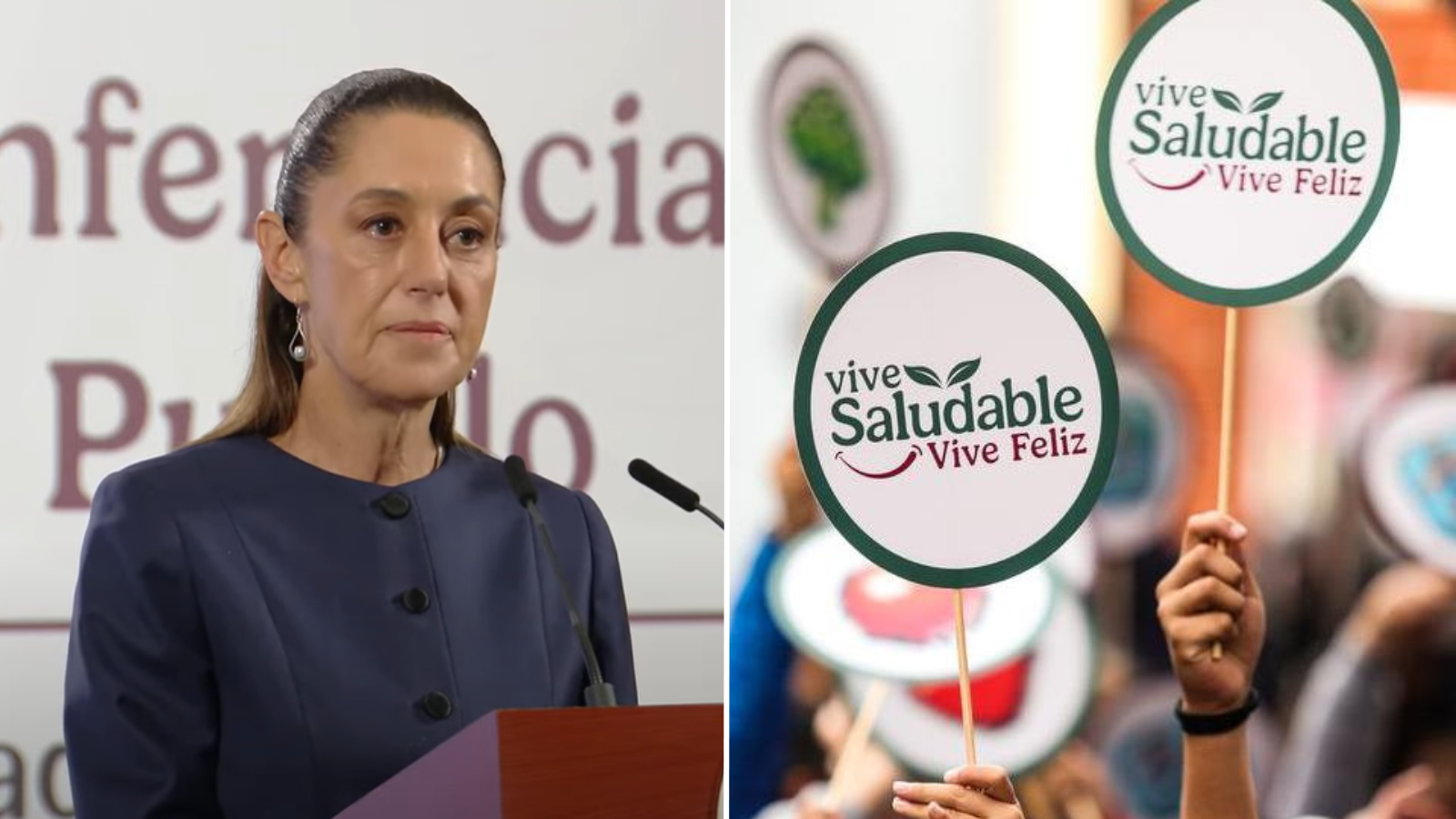 Vive saludable