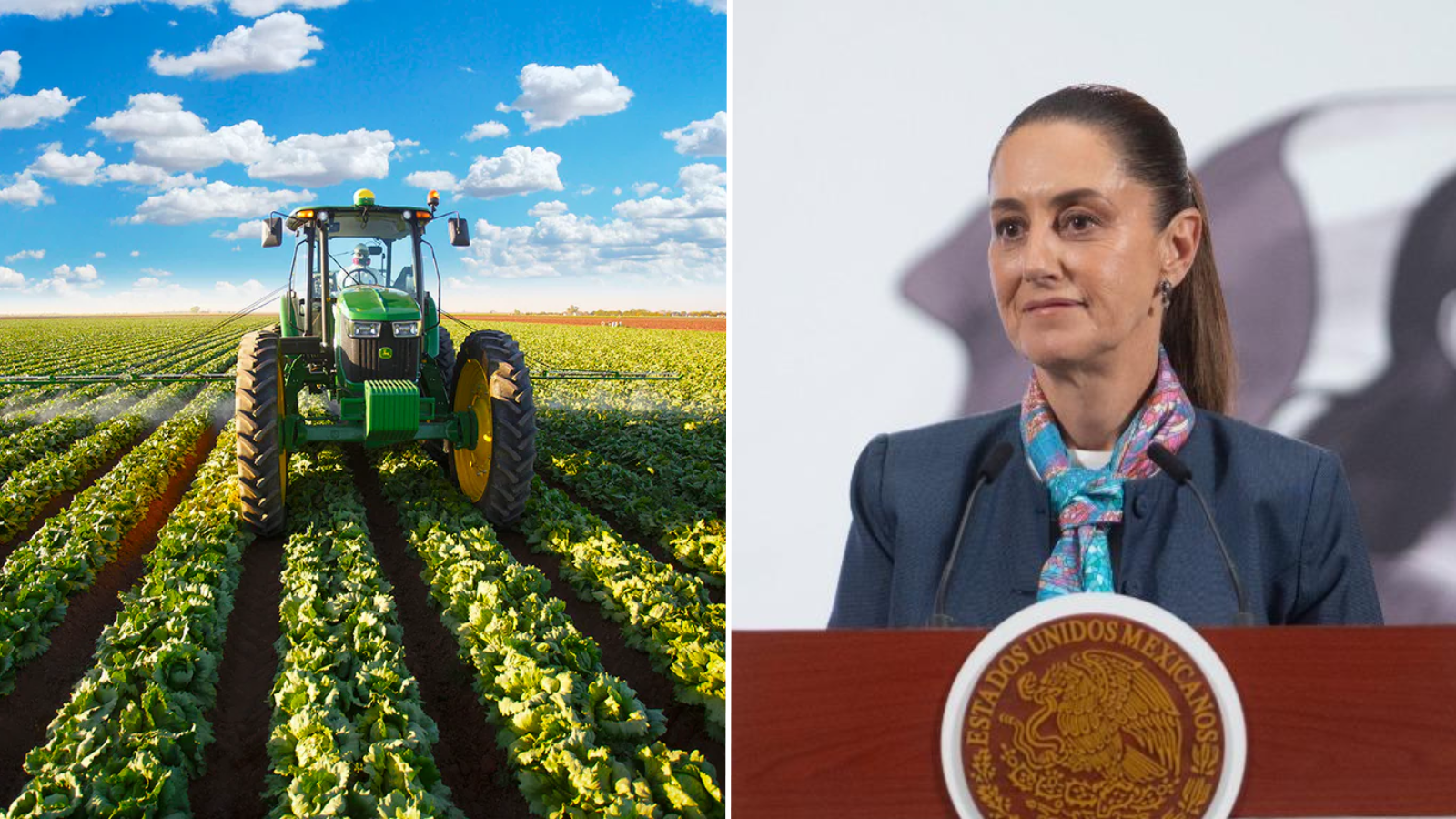 Productores agrícolas