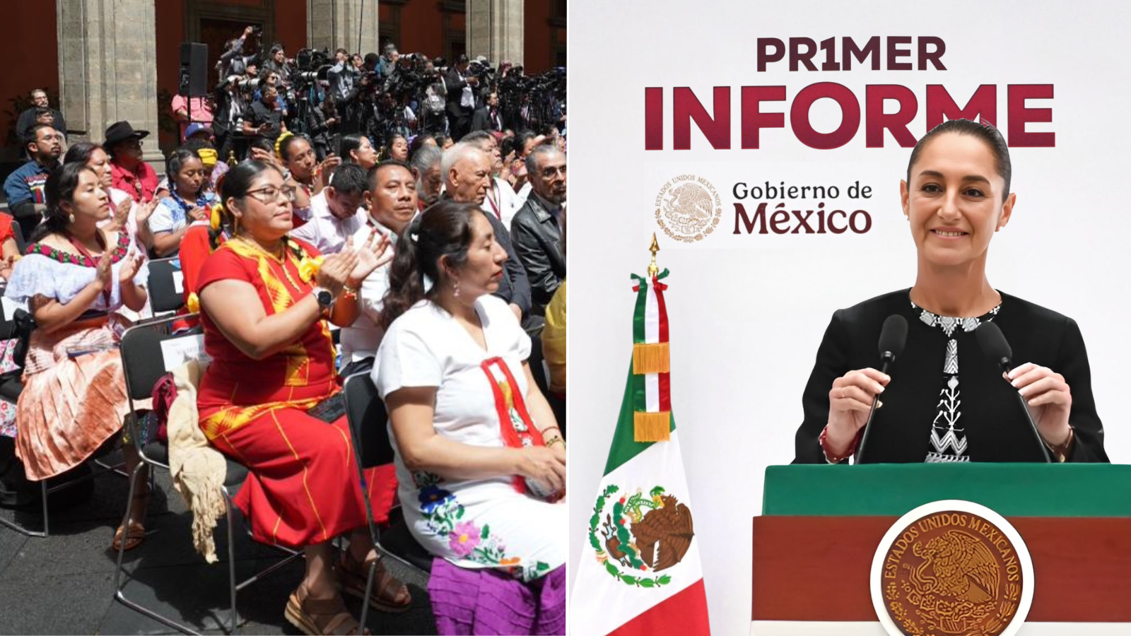Pueblos Indígenas inpi primer informe