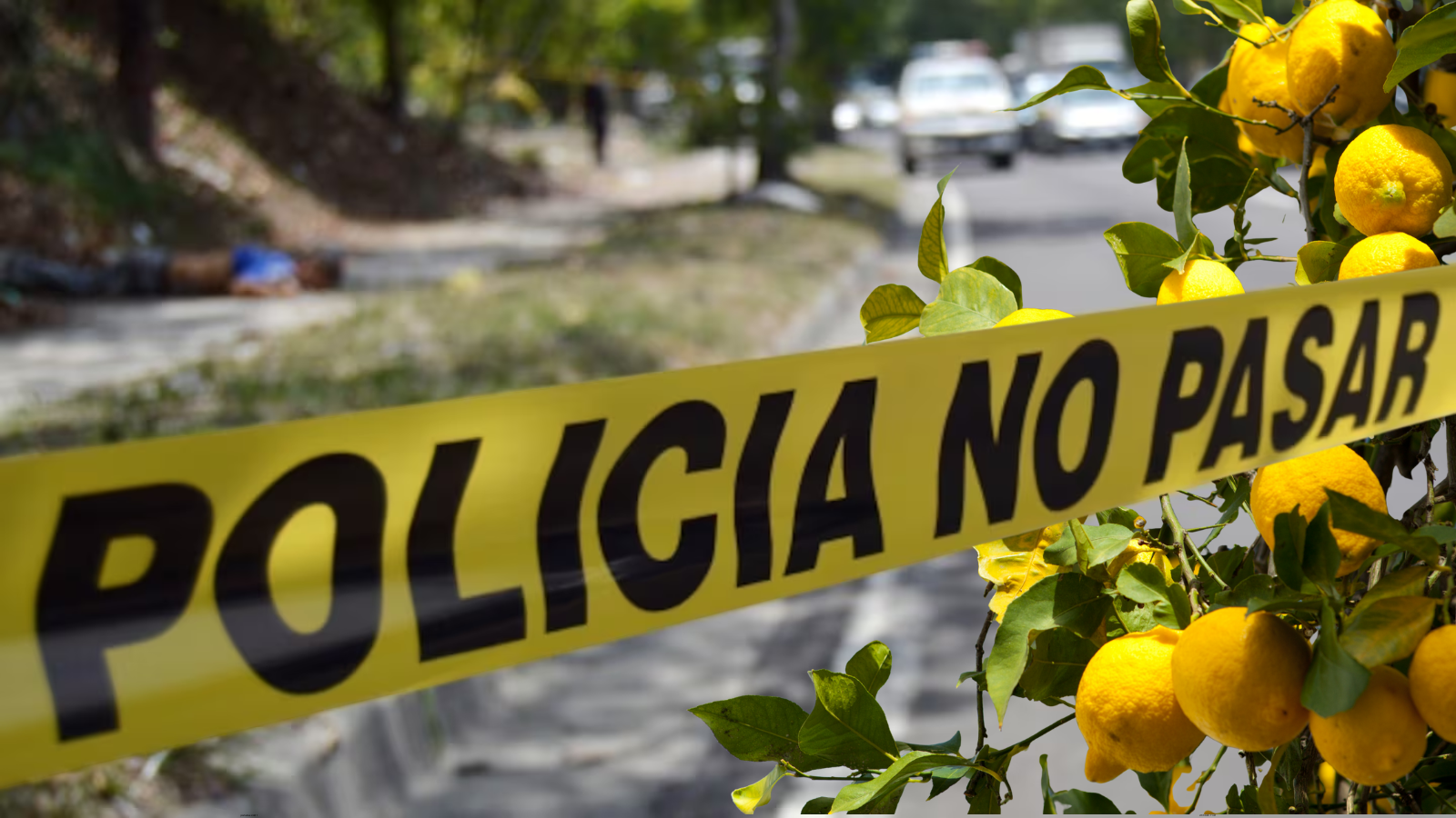 Asesinan a Javier Vargas, empresario citrícola de Veracruz