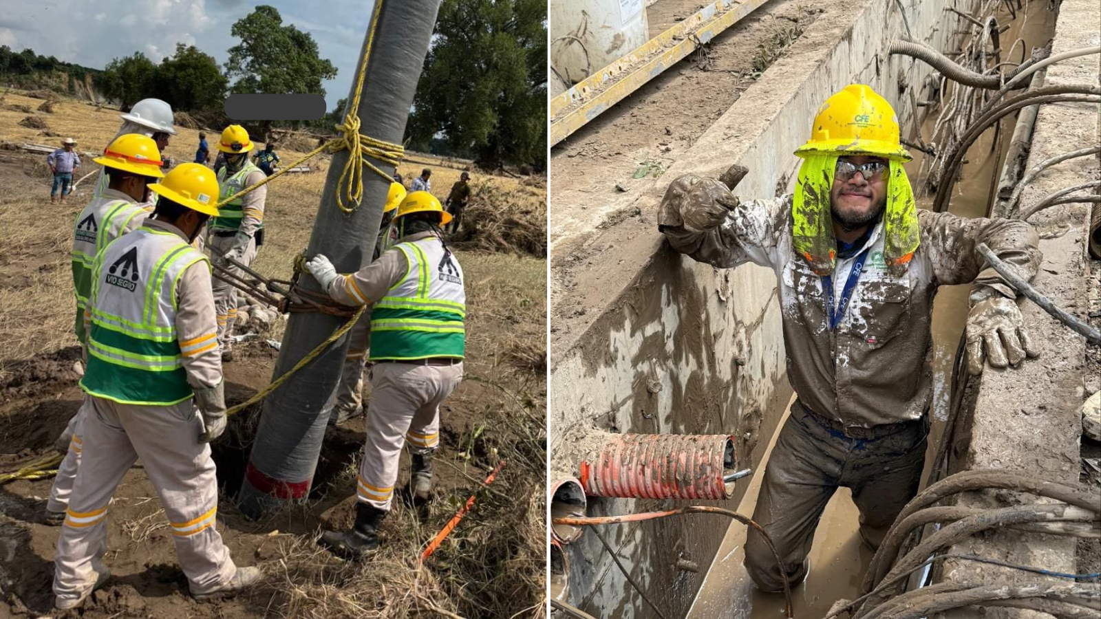 CFE reporta 93 % en restablecimiento de electricidad en zonas afectadas