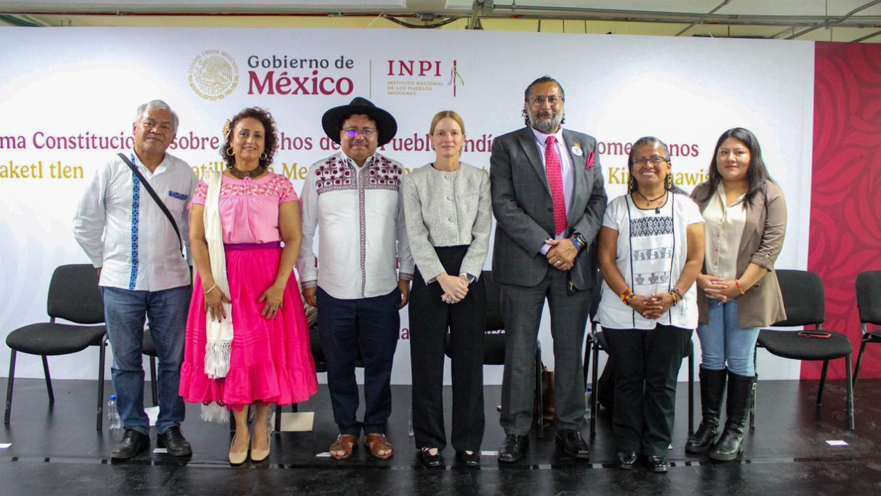 Pueblos Indígenas y Afromexicanos