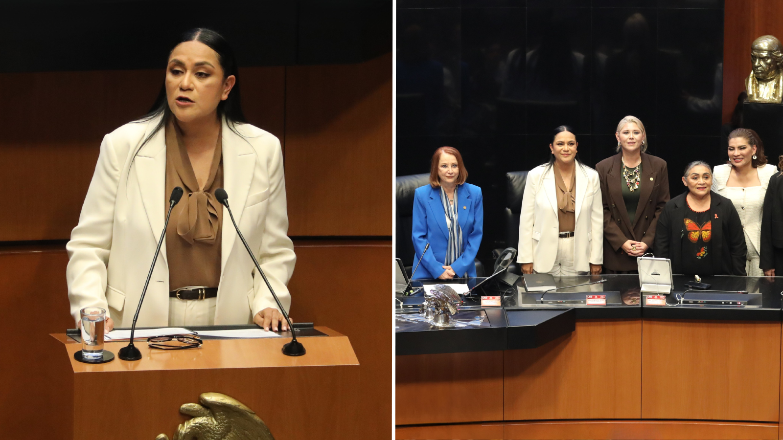 Ariadna montiel senado
