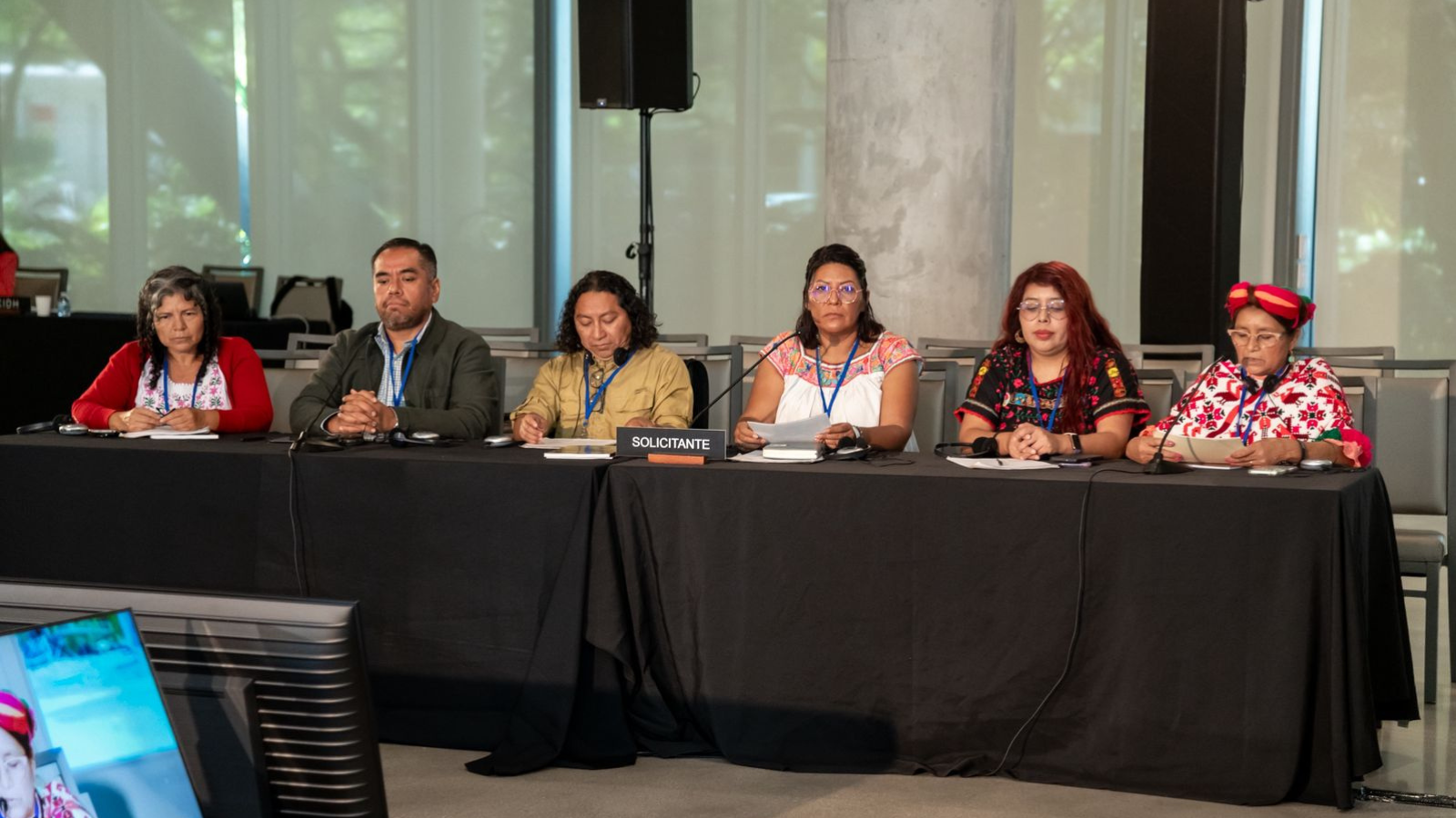 Pueblos Indígenas y Afromexicanos noviembre