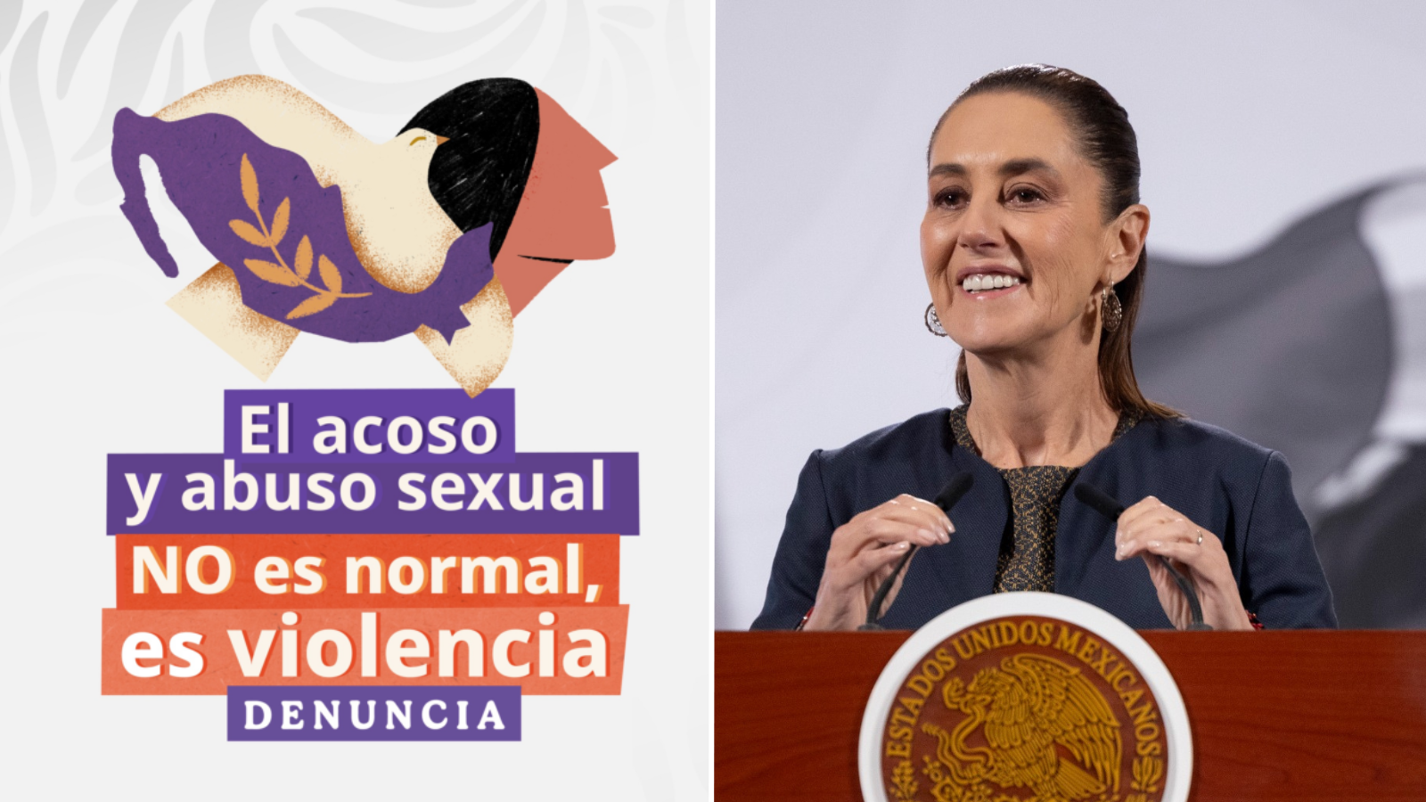 abuso sexual sheinbaum