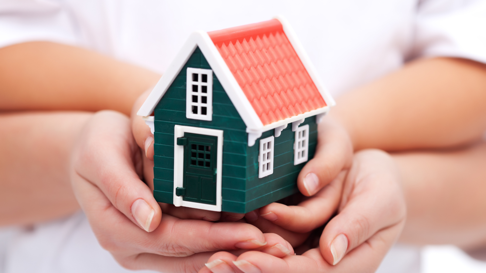 viviendas del bienestar