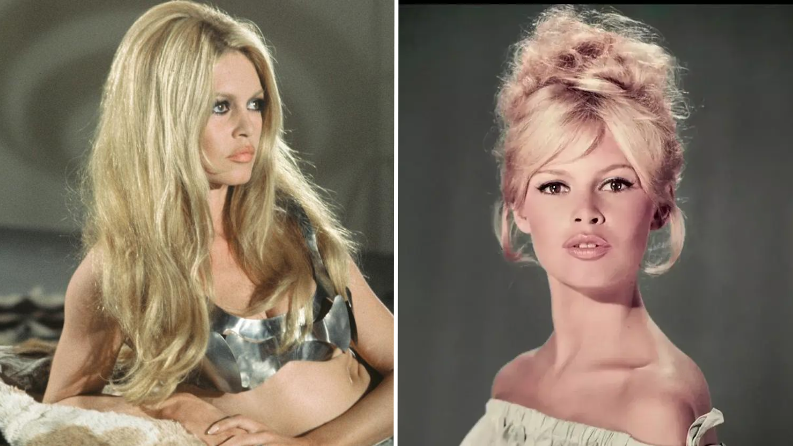 Brigitte Bardot