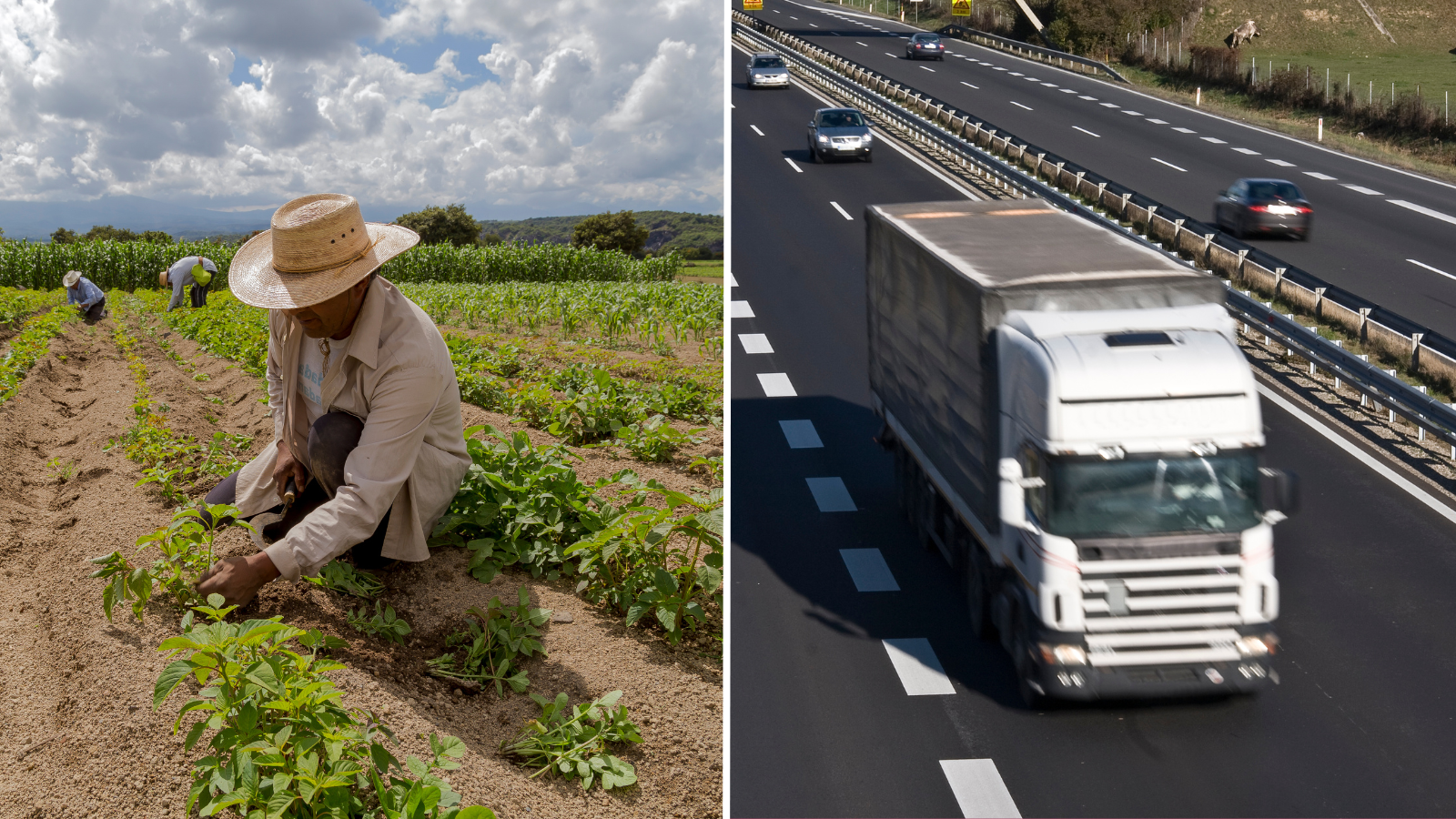 Gobierno de México acuerda acciones con campesinos y transportistas