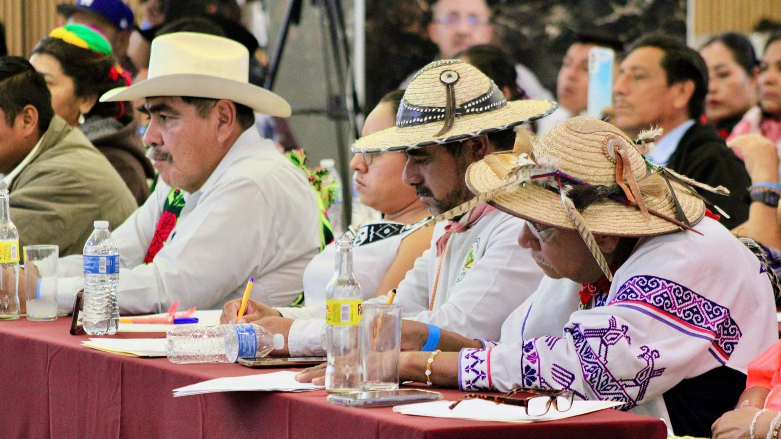 inpi pueblos indígenas