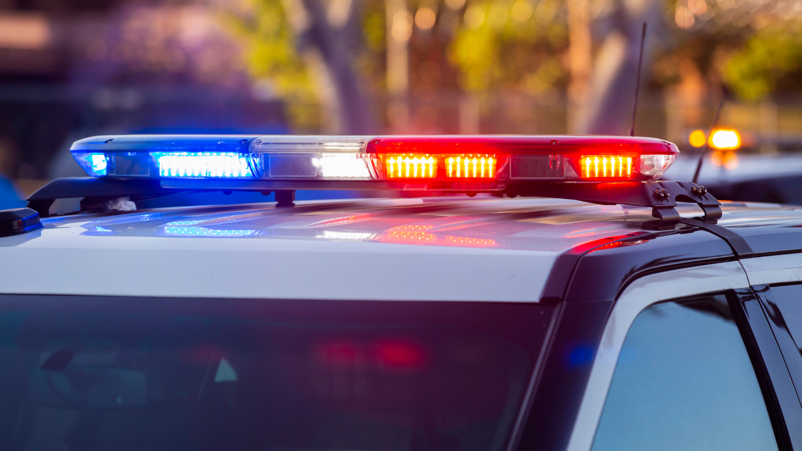 Suman dos muertos tras ataque armado en parque de Guanajuato