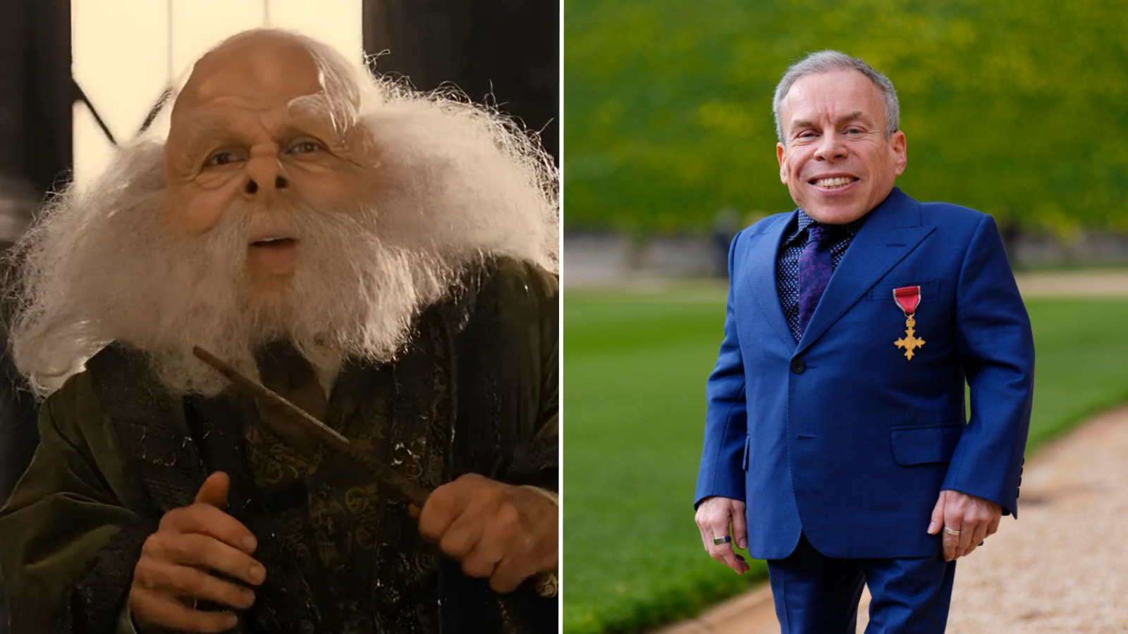 Warwick Davis