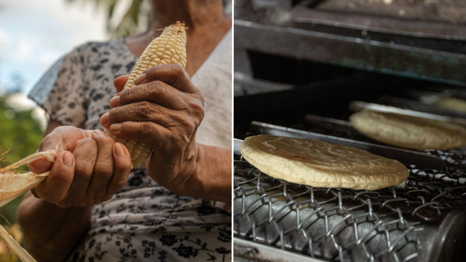 Maiz y tortilla precio