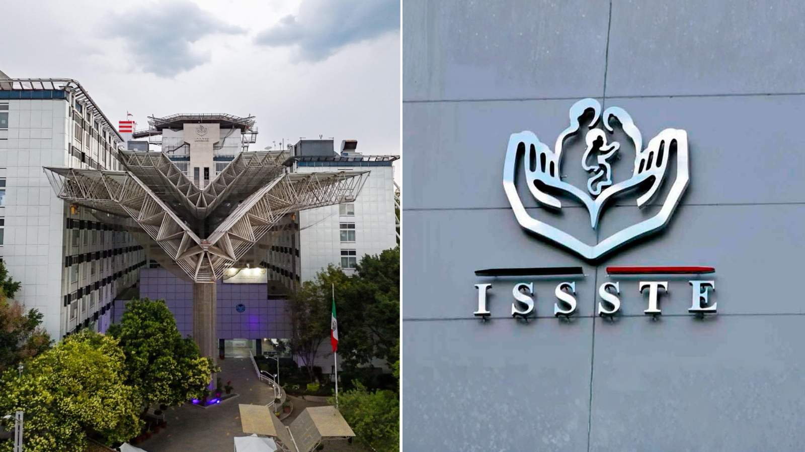 trasplantes hepáticos