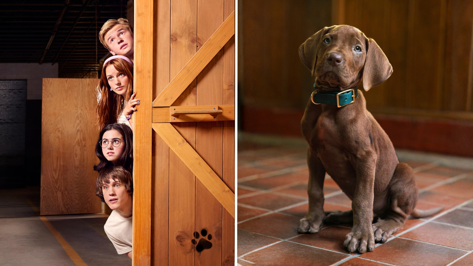Scooby-Doo Origins