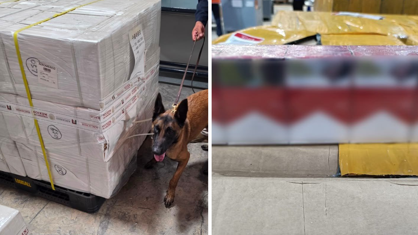 Aseguran casi tres millones de cigarros de contrabando en el AICM