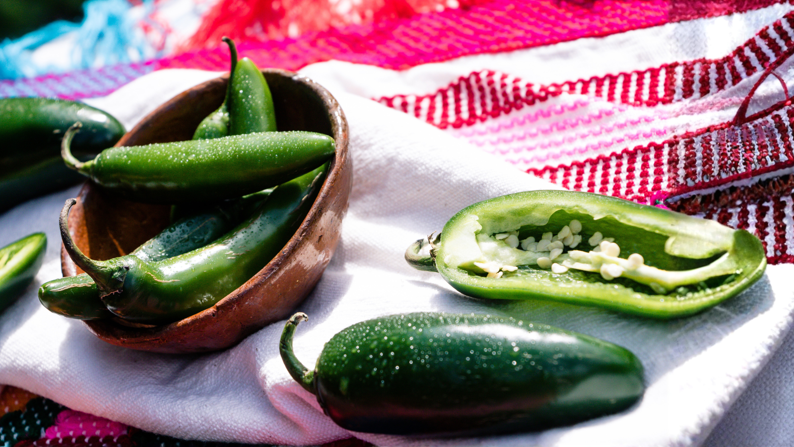 Cofepris Chiles jalapeños Nuevo León