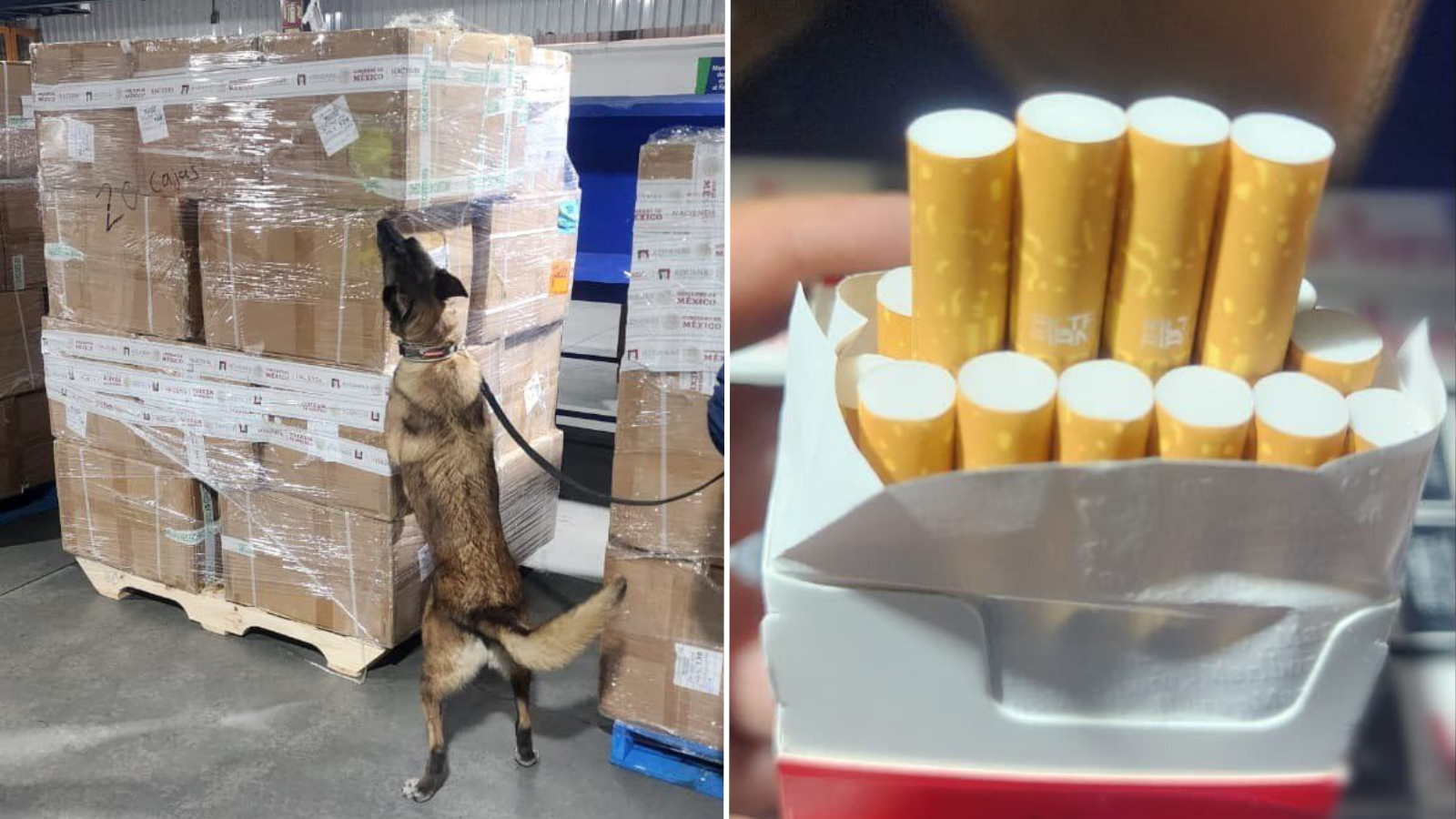 Decomisan más de dos millones de cigarros falsificados en el AICM