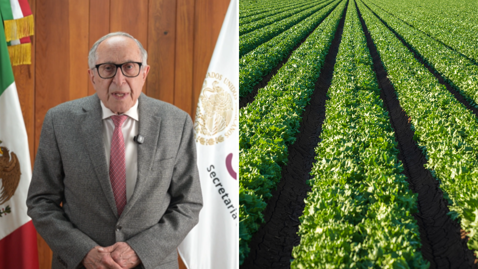 Secretaría de Salud descarta brote de ciclosporiasis en México