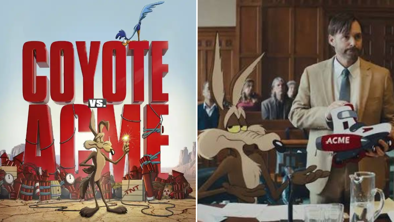 coyote vs acme