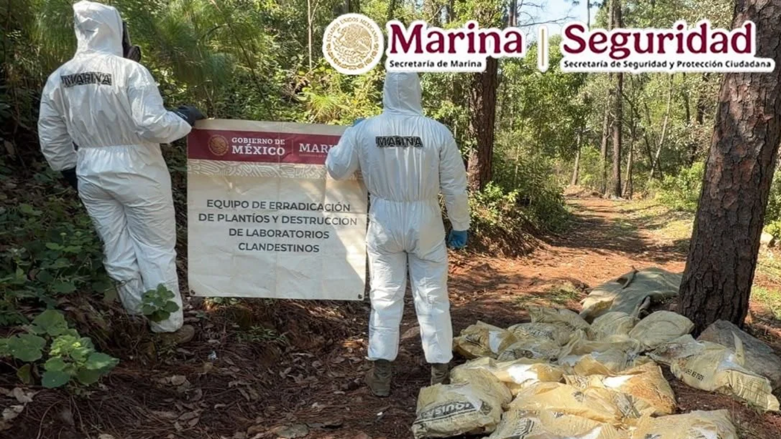 Semar desmantela dos laboratorios de metanfetamina en Durango